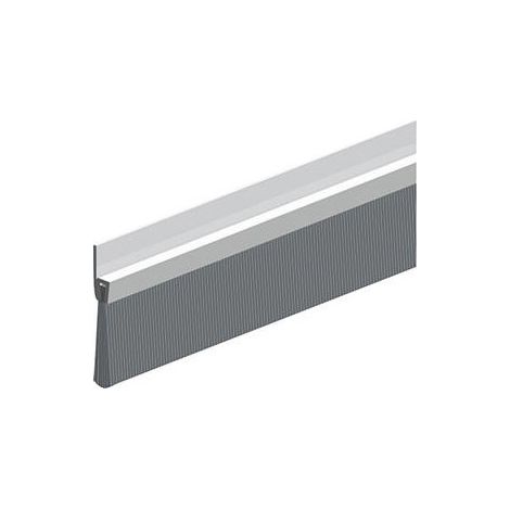 IBS POG 65 Porta dell'articolazione non perforata. H65 X L1000. BH40