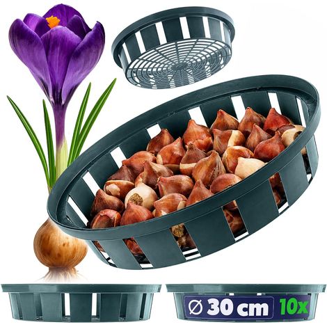Lot de 10 - Panier à Bulbes - Pot de Culture - Protection Contre Rongeurs et Humidité - Pour Jardin et Légumes - Vert - 30 cm (1/5)