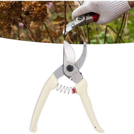 Sécateurs de jardin, outils de taille pour la verdure, sécateurs pour l'enlèvement des fruits et des fleurs, sécateurs horticoles pour arbres fruitiers (1/5)