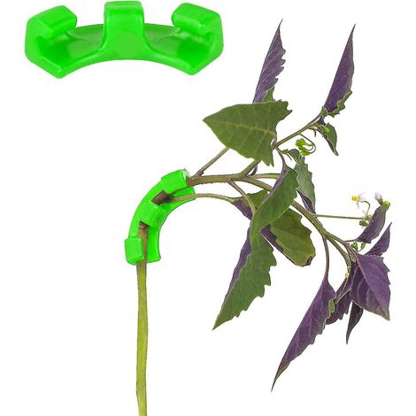 Lot de 30 pinces de jardinage à angle droit (LST) vertes - Lot de 30 pinces de jardinage à angle droit (LST) pour la technique de palissage à faible stress et le support des plantes (1/3)