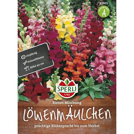Sperli Löwenmäulchen Riesen Mischung - Blumensamen (1/2)