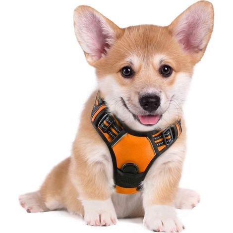 Arnés para perros talla S, naranja, antitirones, reflectante, chaleco ajustable para perros, enganche frontal, gancho para correa para senderismo, viajes en coche, Bulldog francés, Pastor australiano (1/5)