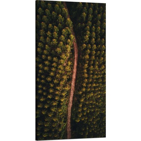 Leinwanddruck „Naturstraße aus der Vogelperspektive“, 60 x 120