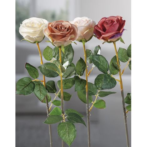 ROSA ASS 4 COLORI CM 67