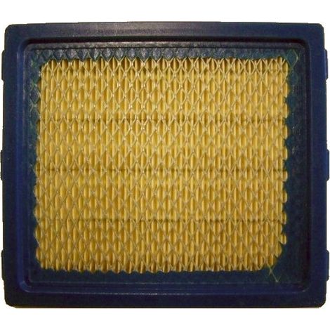 Filtre à air BRIGGS ET STRATTON 805113