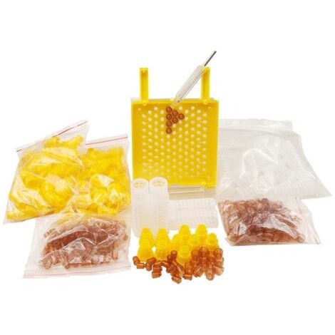 BUNTHAUS Kit de construction apicole, kit d'outils pour abeilles de 336 pièces, système d'alimentation, Nicot, cage complète, aides à l'apiculture TONCHEAN