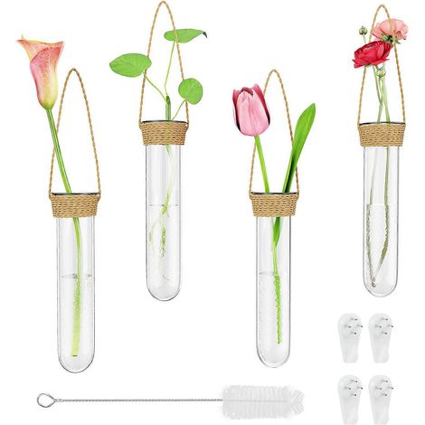 Lot de 4 terrariums suspendus en verre, petits vases muraux, décorations pour plantes d'intérieur et d'extérieur. (1/4)