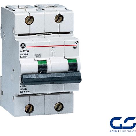 Interruptor Magnetotérmico 2P 125A curva B 10 kA General Electric 671512 EAN 541365671512