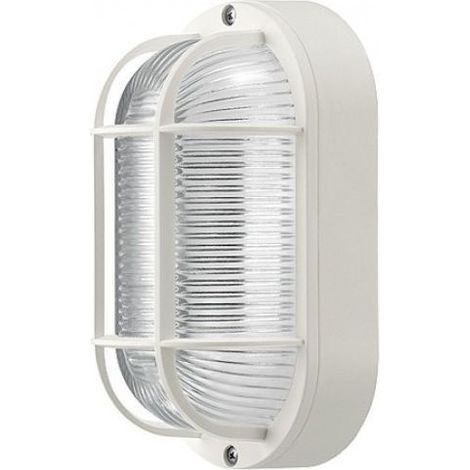 Ceinture Appliquée Grille Ovale Tortue Blanche Cloche En Verre Attaque E27 (1/5)