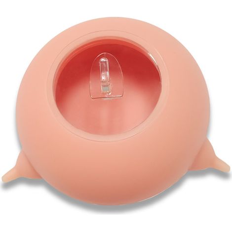 Biberón para gatos y cachorros - comedero con 3 tetinas de silicona aptas para alimentos - para recién nacidos (rosa, 200 ml, 10,5 x 10,5 x 5 cm) (1/5)