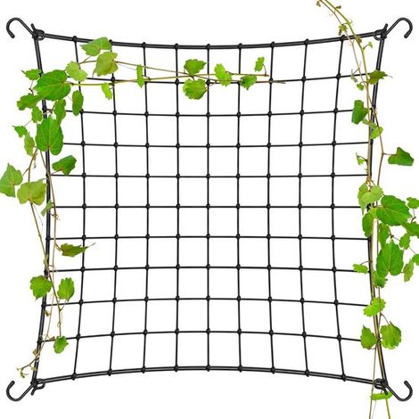 Longziming - Filet pour plantes grimpantes - Treillis - 150 × 150 cm - Support élastique pour plantes grimpantes - Tissu élastique résistant - Réutilisable et peu encombrant - Lot de 1 - Noir - pour p (1/5)