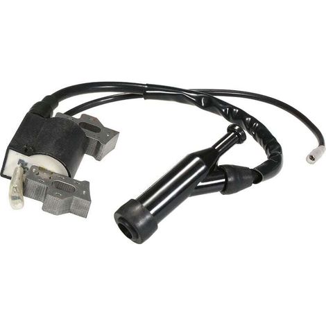 Module De Bobine D'Allumage Pour Honda Gx110 Gx120 Gx140 Gx160 Gx200 (1/5)