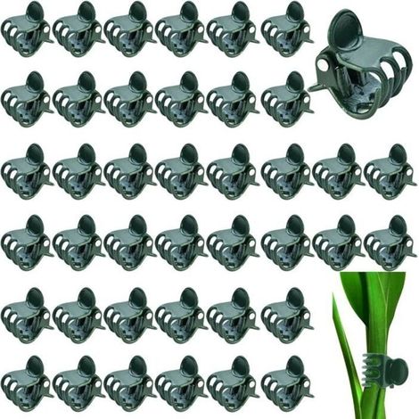 Pack of 100 plant clips - 1.5 cm - Dark green - Plastic - For supporting and holding plants (1/5)