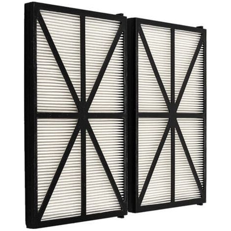 Lot de Filtres pour Robot Tiger Shark - RCX70101PAK2 - Noir-2 Panneaux