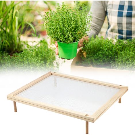 Séchoir à pâtes et herbes 1 pièce, support de séchage pour cuisine, légumes et aliments, déshydrateur domestique à une étagère (boîte) (1/4)