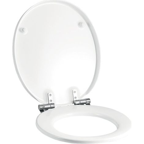 Geberit Cassini WC-Sitz mit Absenkautomatik, Befestigung von oben, Weiß/glänzend (1/4)