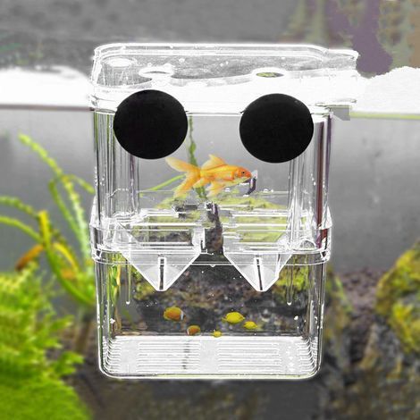 Breeding Box, Aquarium, Shrimp, Fish, Suction Cups, Double Layer, Transparent, Guppies (1/5)