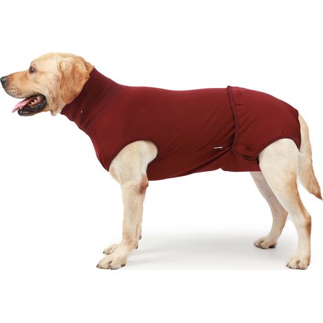 Veste Pour Chien - Manteau Polaire Réfléchissant En Polyester - Pour Chiens De Taille Petite À Très Grande - 1 Pièce (1/5)