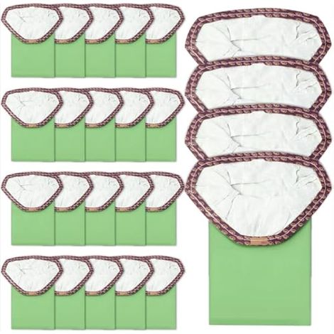 Lot de 20 sacs d'aspirateur à microfiltre 107314 compatibles avec les aspirateurs ProTeam 6 pintes, Super Coach Pro 6, ProVac FS 6, GoFit 6/6 Plus et GoFree Flex Pro. (1/5)
