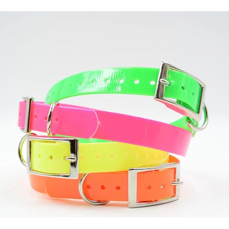 Collier chien fluo BIOTHANE BIOGOLD taille standard 4 couleurs