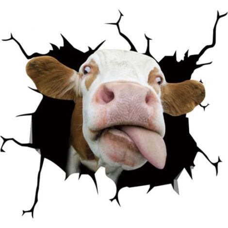 Autocollant pour voiture - Langue de vache