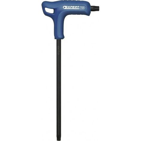 Clé mâle Torx en T emmanchée T 25 - Expert