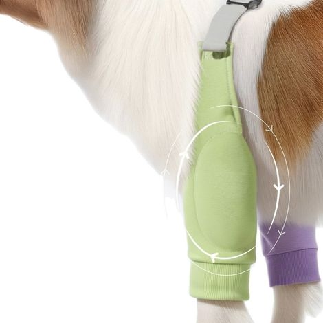 Protection coude-patte avant toutes saisons pour chien – Manchon rembourré anti-abrasion avec sangles élastiques réglables pour Border Collies et chiens de taille moyenne à grande (1/4)