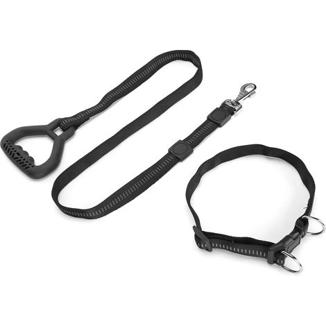 Laisse et collier robustes pour chiens, avec poignée confortable, pour chiens de petite, moyenne et grande taille. Accessoires pour animaux de compagnie. Noir. (1/5)