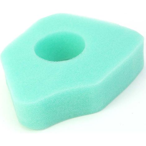Filtre à air adaptable pour Briggs & Stratton 794071 (1/4)