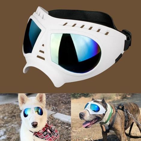 Lunettes pour Chien - Namsan - Anti-UV -Vent - Blanc (1/4)