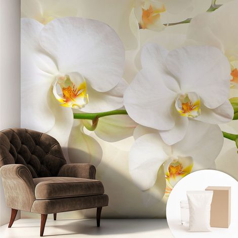 Papier peint intissé mural avec imprimé pour décoration pour salon pour chambre à coucher pour entrée Richesse florale 250x250 cm (1/5)