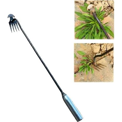 Désherbeur manuel extérieur – Outil de jardinage à 4 dents – Extracteur de mauvaises herbes pour pelouse et jardin, enlève les racines(manche en fer 30 cm) (1/5)