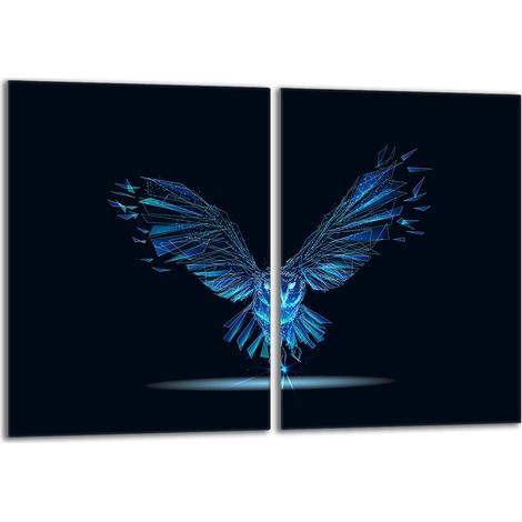 Placa protectora de vidrio para estufa 2x40x52 Bird (1/5)