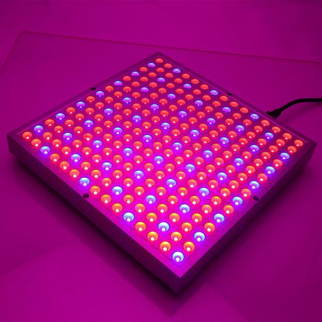 Lampe de croissance UV V LED à spectre complet pour plantes hydroponiques d'intérieur-AquaForge (1/5)