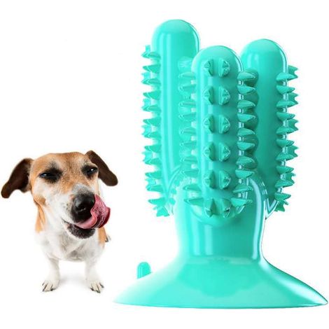 Brosse à dents pour chien, broyage des dents de chien, bâtons de nettoyage des dents, déversements de nourriture, anti-morsure (1/2)