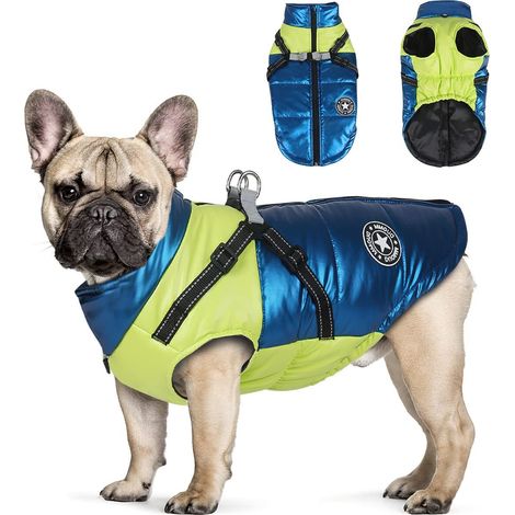 Manteau d'hiver imperméable pour chien avec harnais intégré veste matelassée réfléchissante et chaude pour petit et moyen chien (1/5)