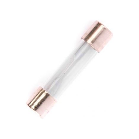 Fusible 10A 30mm (x10)
