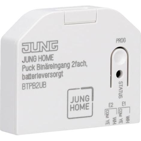 dispositivo di comando Jung btps2b2u doppio ingresso binario