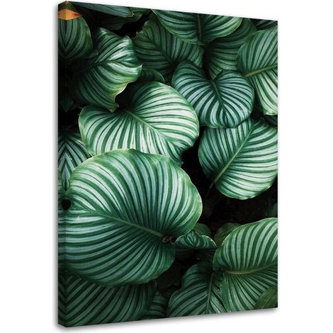 Tableau déco Monstera Feuilles Tropicales 40x60 (1/5)