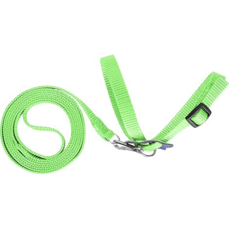Harnais pour oiseau, laisse pour perroquet réglable, corde anti-morsure en nylon pour le dressage en extérieur (vert) (1/5)