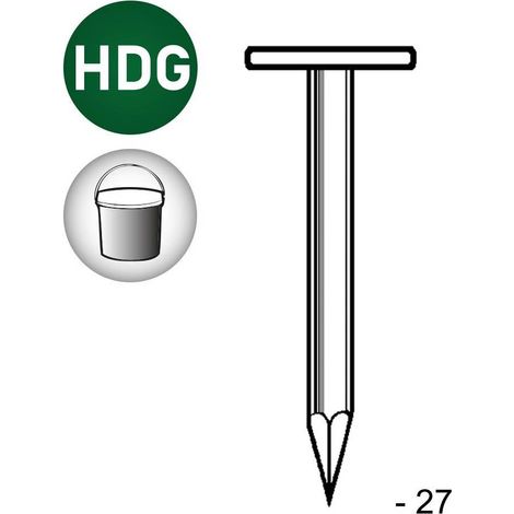 Pointe en Vrac Tête Extra Large Lisse - Galvanisée à Chaud (Hdg) - 2.5x27 mm en Seau de 5 kg - D-Work