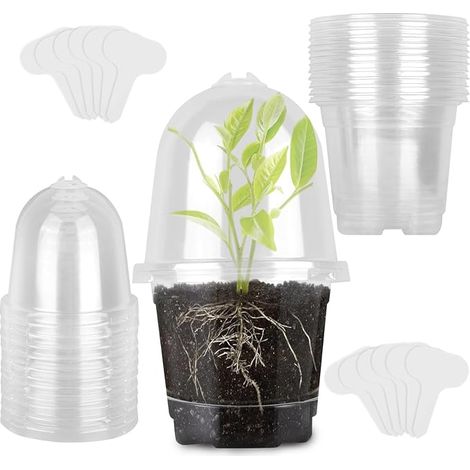 12 Piece Flower Pots with Moisture Dome, Diameter 9 cm Transparent Plant Pot, Seedling Pot Set with Plant Plugs, Small Soft Nursery Container for Succulents, Seeds, Seedlings (1/5)