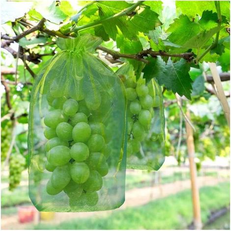 Sac antimouches et oiseaux pour melons, 100 pièces, 35 x 25 cm, avec cordon de serrage pour une protection complète (1/5)