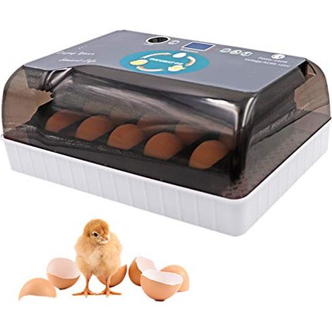 12 Oeuf Incubateur Automatique Numérique Entièrement Hatcher Poulet Volaille Hatcher avec Contrôle Automatique de la Température EU PLUG