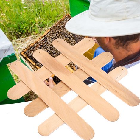 Bienenwachsmottenlarvenbekämpfungsmittel, Werkzeuge, Holzstreifen, Schädlingsbekämpfung für Imker (1/5)