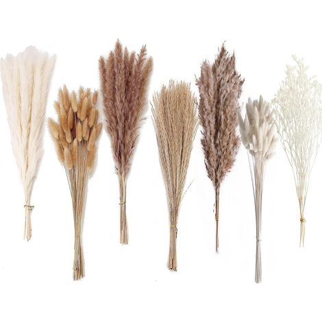 Décoration de Pampas séchée, 128 pièces de Pampas avec des Fleurs de Queue de Lapin, Bouquet de roseaux pour Mariage, Fleurs bohèmes, décoration de Table de Maison, fête Rustique de Ferme (1/5)