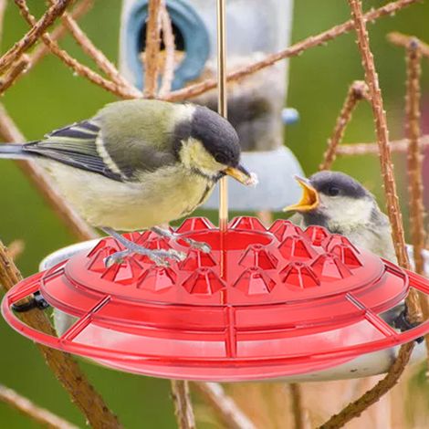 Runder Kolibri-Futterspender Sechseckiger Vogelfutterspender (1/5)