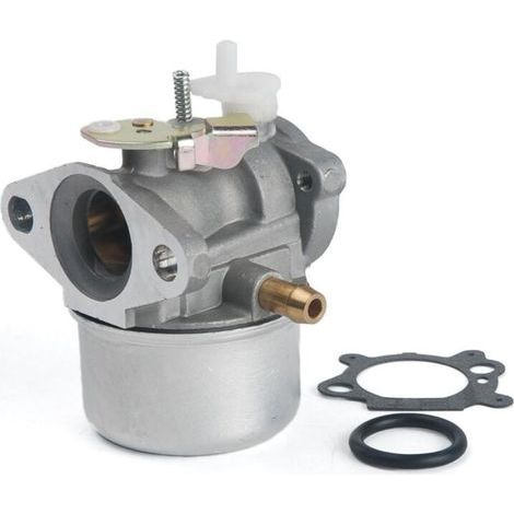 Replacement carburetor for Briggs & Stratton 799869 792253 with gasket (1/4)