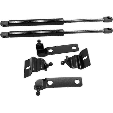 Motorhauben-Dämpfer-Hebestreben mit Gasdruckfeder und Hydraulik für Toyota Hilux Vigo SR5 05-12, Schwarz-JXLGV (1/5)