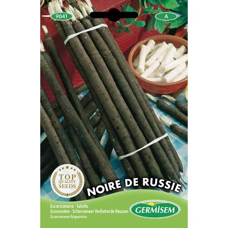 graines Scorsonère NOIRE DE RUSSIE